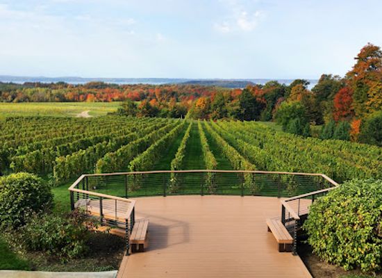 michigan/northern-michigan/landmark/chateau-grand-traverse