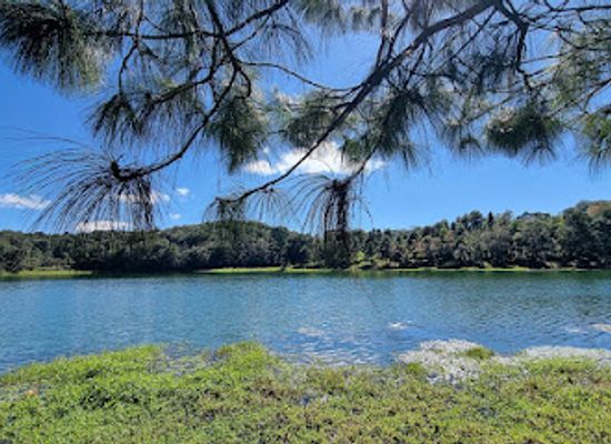 honduras/aguan-valley/landmark/laguna-de-chiligatoro