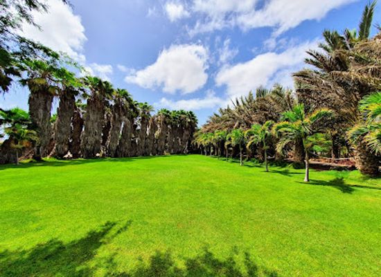 cabo-verde/brava/landmark/pachamama-eco-park-viveiro-botanical-garden