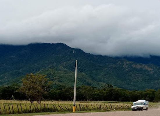 honduras/aguan-valley/landmark/s-of-pico-bonito