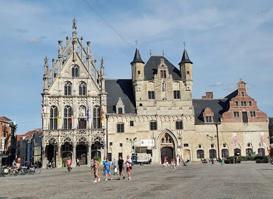 belgium/mechelen/landmark/paleis-van-de-grote-raad