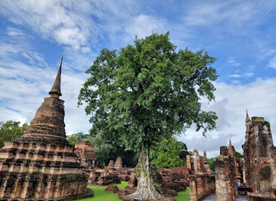 thailand/sukhothai/landmark/sukhothai-buddha-park