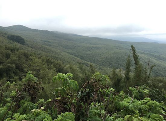 kenya/aberdare-national-park/landmark/aberdare-range