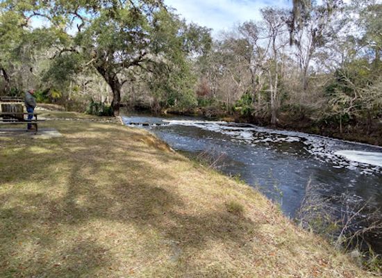 florida/big-bend/landmark/steinhatchee-falls