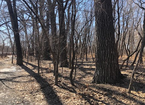 canada/winnipeg/landmark/mcbeth-house-centre-and-park-trail