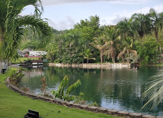 puerto-rico/yunque-national-forest/landmark/jardin-botanico-y-cultural-william-miranda-marin