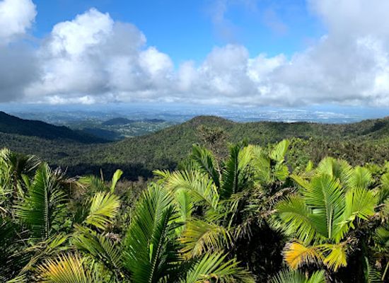 puerto-rico/luquillo-mountains/landmark/torre-britton