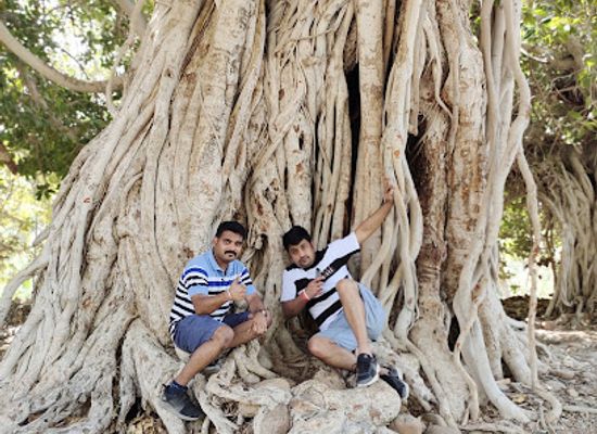 oman/musandam-governorate/landmark/madha-oman-rolla-farms