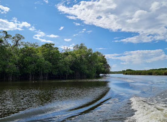 jamaica/black-river-great-morass/landmark/black-river-safari-tours