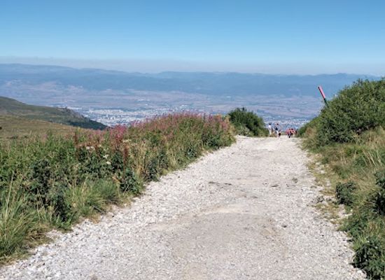 bulgaria/sofia-valley/landmark/vitosha-nature-park