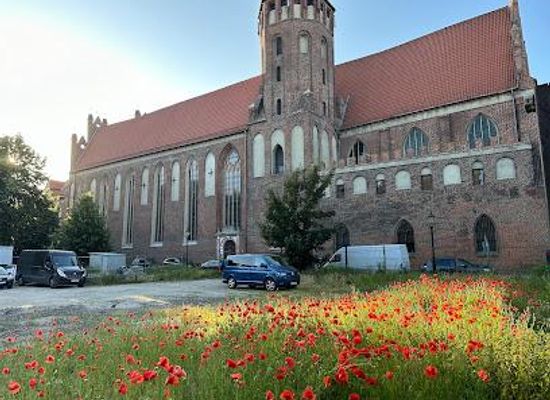 poland/zulawy/landmark/basilica-of-st-nicholas
