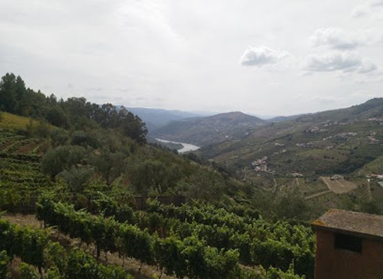 portugal/lamego/landmark/castro-of-cidadelhe