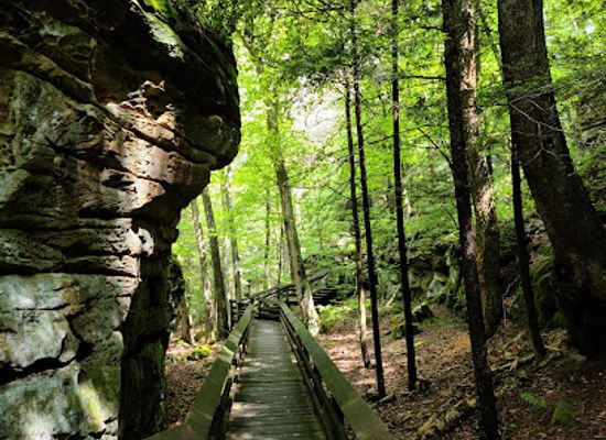 west-virginia/metro-valley/landmark/beartown-state-park