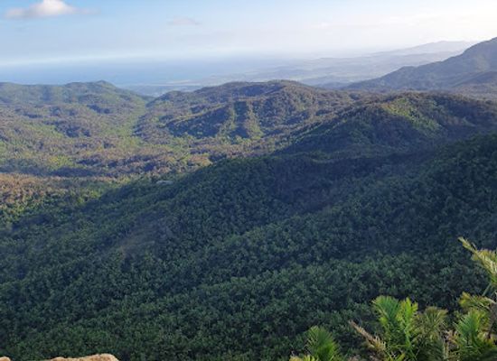 puerto-rico/bayamon-region/landmark/el-yunque-national-forest