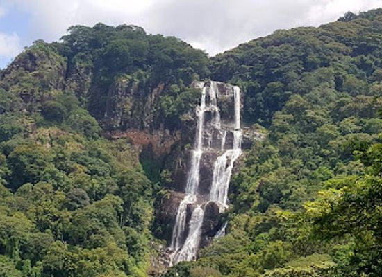 tanzania/coastal-zone/landmark/udzungwa-mountains-national-park