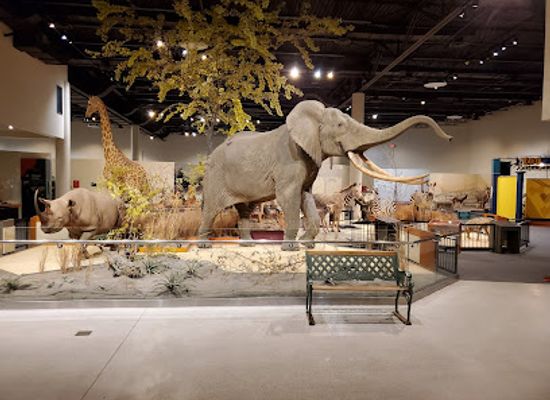 south-dakota/sioux-falls/landmark/great-plains-zoo