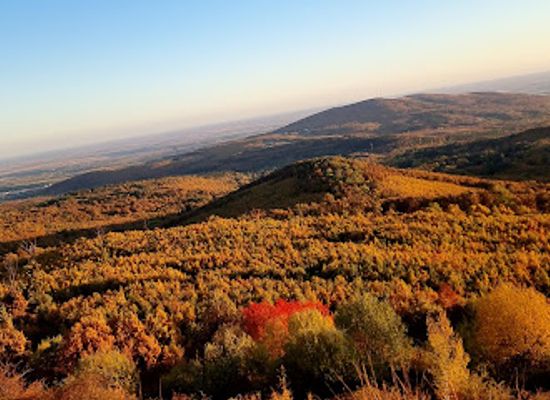 hungary/matra-mountains/landmark/oxygen-adrenalin-park