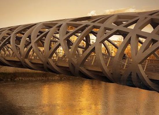 france/rhone-alpes/landmark/pont-hans-wilsdorf