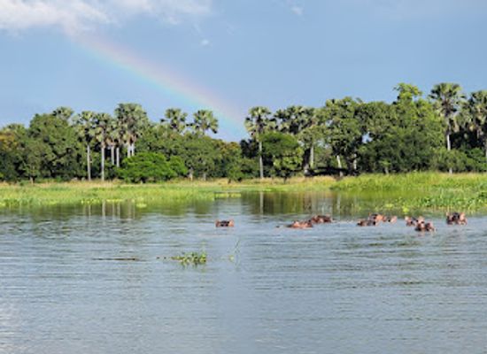 malawi/lake-malawi/landmark/liwonde-national-park