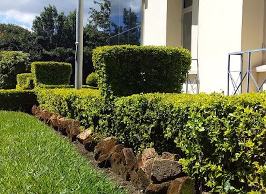 tanzania/mbeya/uyole/landmark/mzumbe-garden