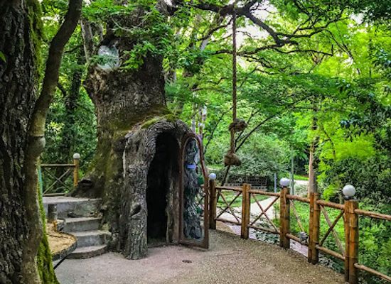 georgia/samegrelo-zemo-svaneti/landmark/chapel-carved-old-oak-tree