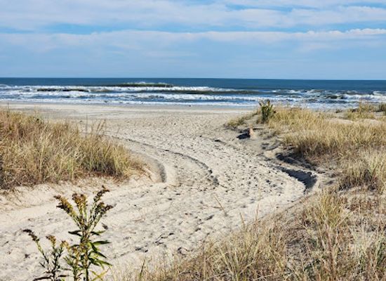 new-jersey/cape-may-peninsula/landmark/cape-may-national-wildlife-refuge