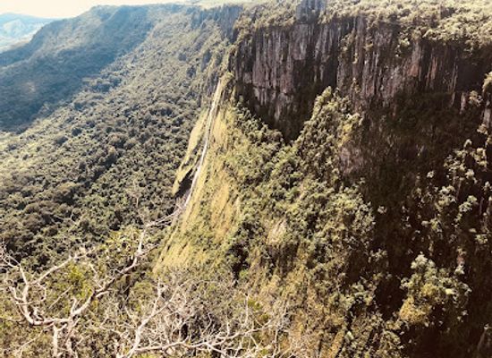 zimbabwe/chimanimani-national-park/landmark/mutarazi-falls-skywalk-and-skyline