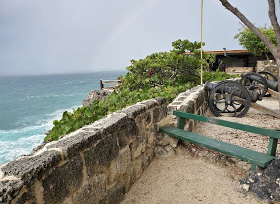 barbados/scotland-district/landmark/animal-flower-cave-restaurant