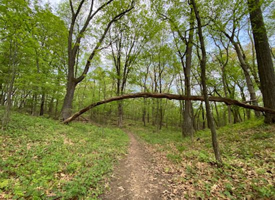 wisconsin/baraboo-range/landmark/ice-age-trail-merrimac-segment