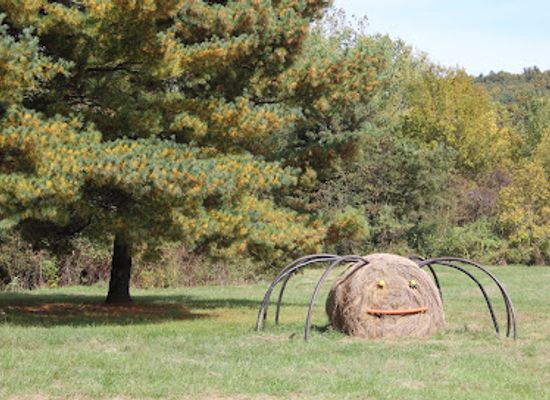 ohio/hocking-hills/landmark/robbins-crossing-historic-village