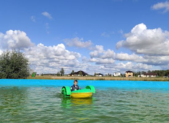 lithuania/nida-beach/landmark/dino-parkas-radailiai