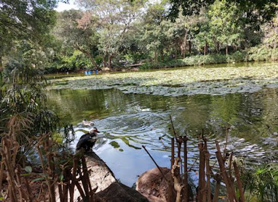 colombia/los-llanos/landmark/jardin-botanico-de-medellin