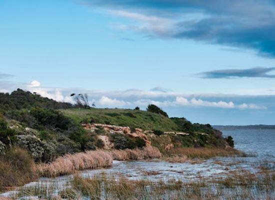 australia/coorong/landmark/hindmarsh-island