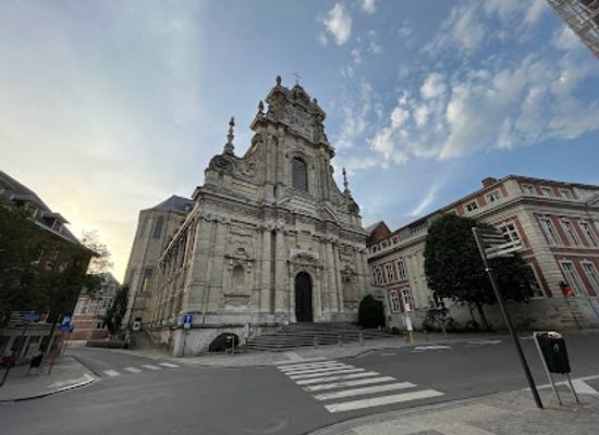 belgium/leuven/landmark/museum-of-zoology-kuleuven