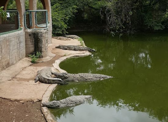 zambia/livingstone/landmark/livingstone-crocodile-park