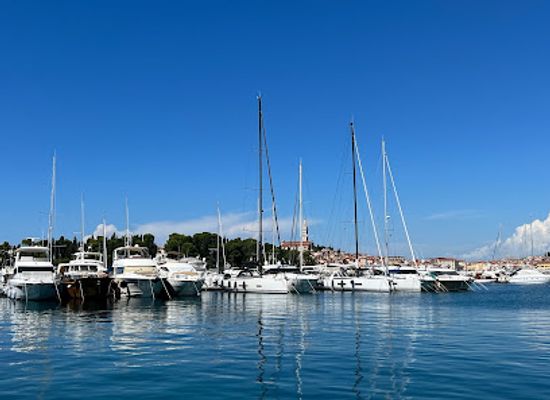 croatia/rovinj/landmark/historical-crane