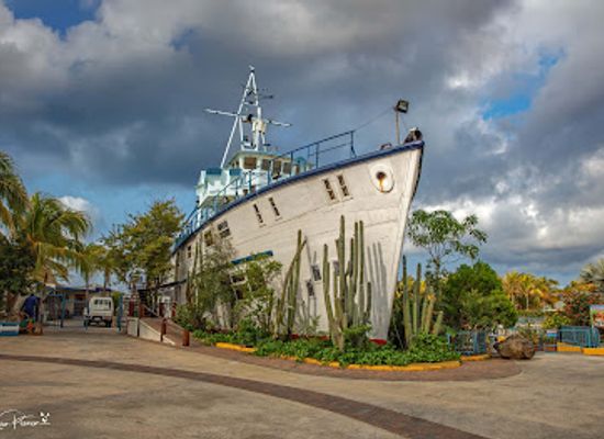 curacao/willemstad/landmark/curacao-sea-aquarium