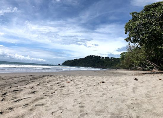 costa-rica/manuel-antonio-national-park/landmark/espadilla-beach