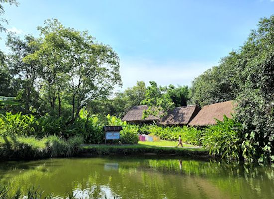 thailand/doi-suthep-pui-national-park/landmark/elephant-poopoopaper-park-chiang-mai