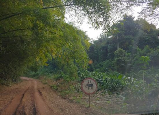 gabon/congo-basin/landmark/ipassa-research-station