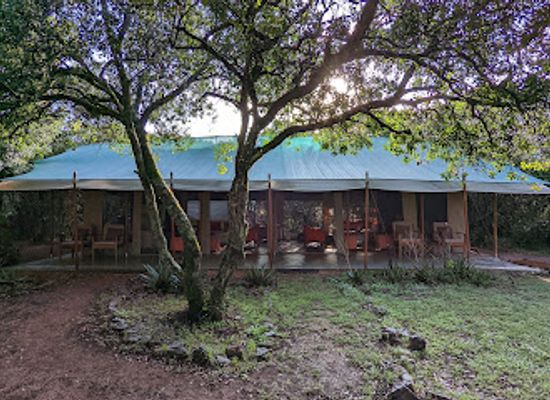 tanzania/masai-steppe/landmark/encounter-mara-camp-asilia-africa