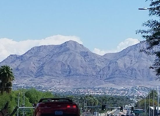 nevada/southern-nevada/landmark/las-vegas-natural-history-museum