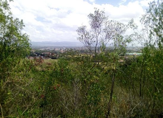 kenya/loita-plains/landmark/hyrax-hill