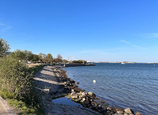 denmark/the-north-sea-islands/landmark/the-little-mermaid