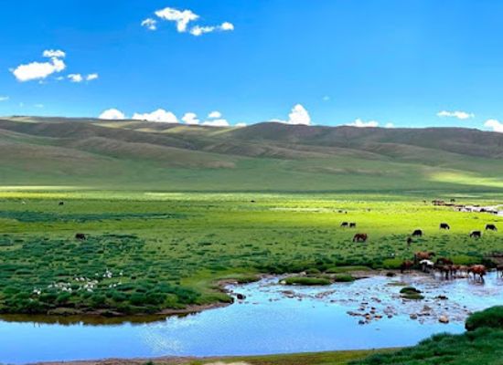 mongolia/mongolian-manchurian-grassland/landmark/khangai-mountains