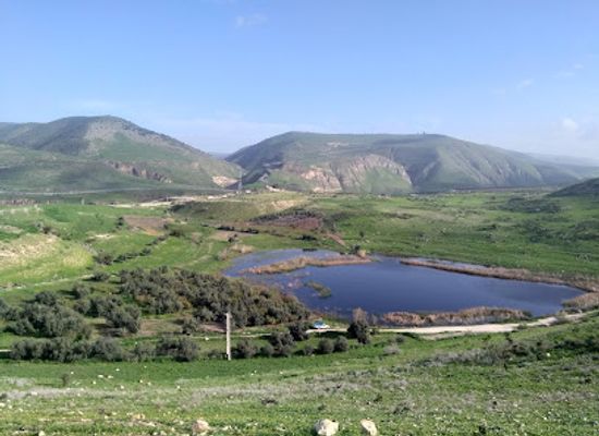 jordan/ajloun-forest-reserve/landmark/yarmouk-nature-reserve