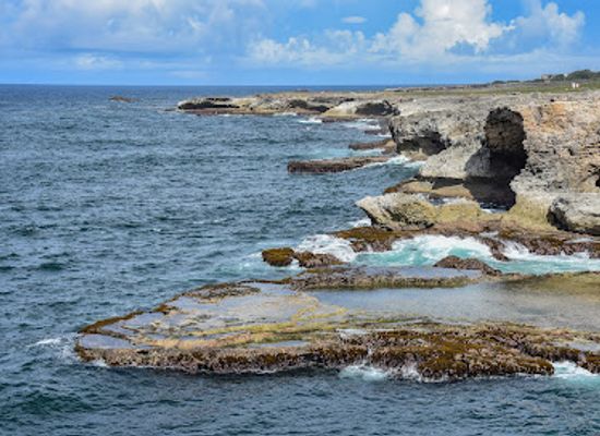 barbados/saint-peter/landmark/animal-flower-cave-restaurant
