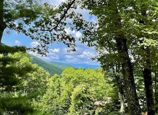 south-carolina/blue-ridge-mountains/landmark/bull-gap