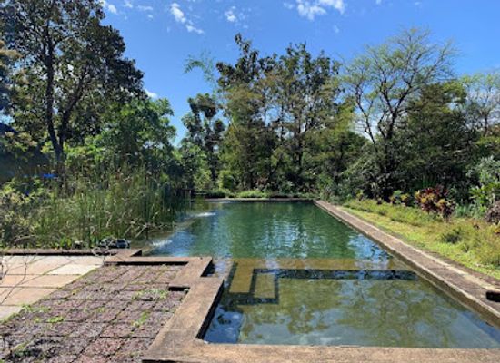 india/goa/landmark/dudhsagar-plantation