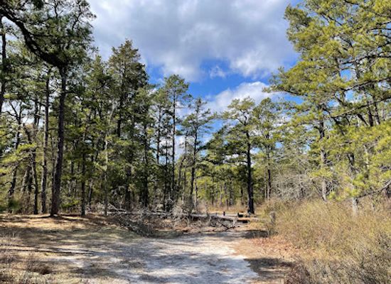 new-jersey/pine-barrens/landmark/whitesbog-historic-village